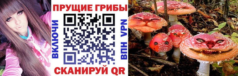 Псилоцибиновые грибы Cubensis  darknet как зайти  Пугачёв  цены наркотик 